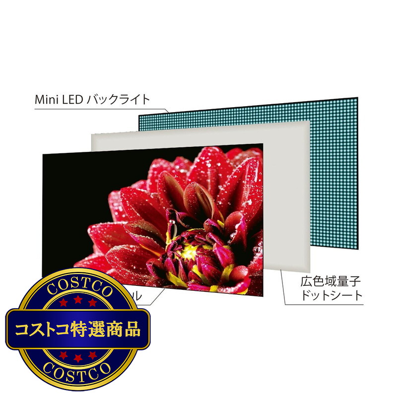 (コストコ) 東芝 レグザ 75インチ 4K 量子ドット ミニLED 液晶テレビ 75Z875L - 画像 (3)