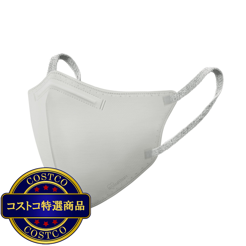アイリスオーヤマ デイリーフィットマスク 立体 フィルタープラス ふつうサイズ 20枚 - 画像 (3)