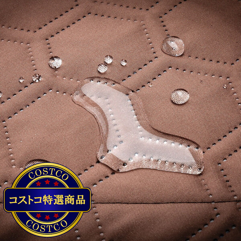(コストコ) CAT 引っ越し/レジャー用 多機能ブランケット - 画像 (2)