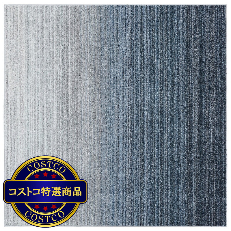 (コストコ) スミノエ ラグ オンブレー 防炎 防ダニ 190x190cm