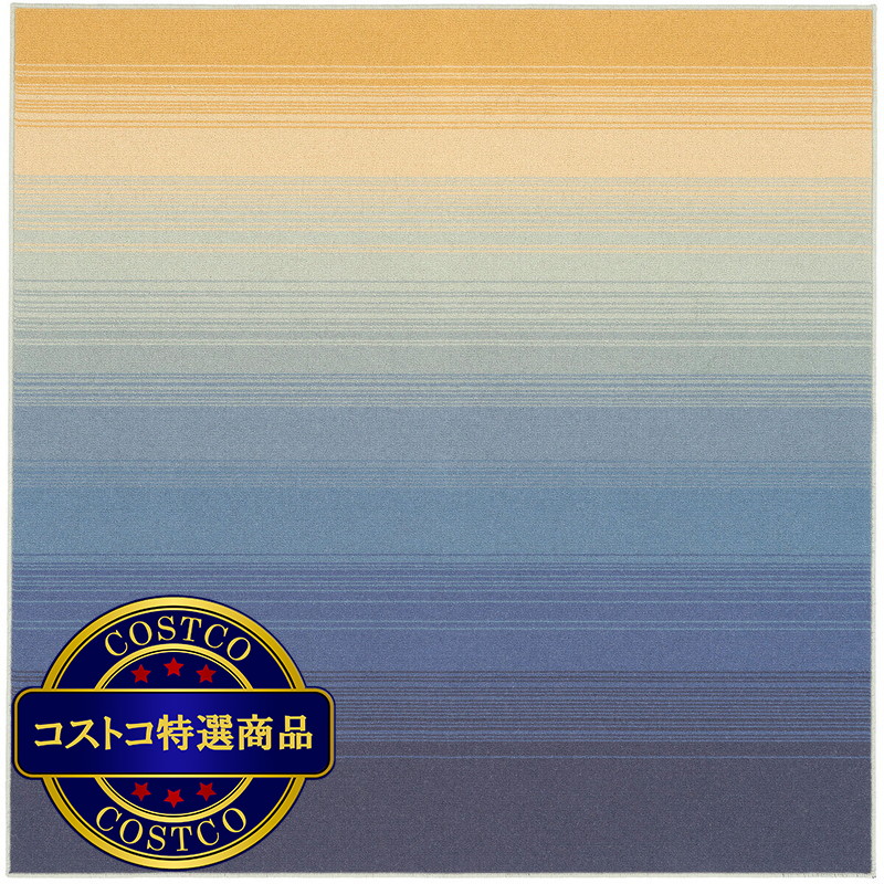 (コストコ) ソライロ 薄明色 ラグ 190x190cm