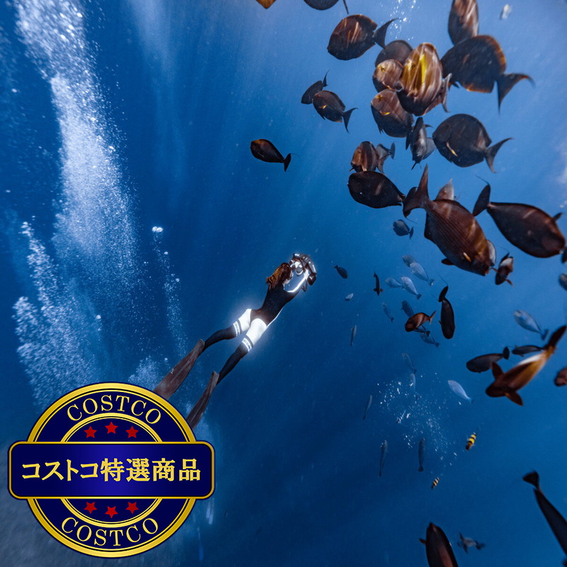 (コストコ) SUBLUE ホワイトシャーク ナブボウ プラス 水中スクーター - 画像 (4)