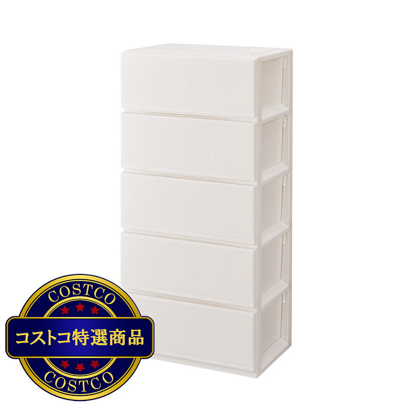(コストコ) 天馬 プロフィックススタイルケース5段収納 組立式6505深型