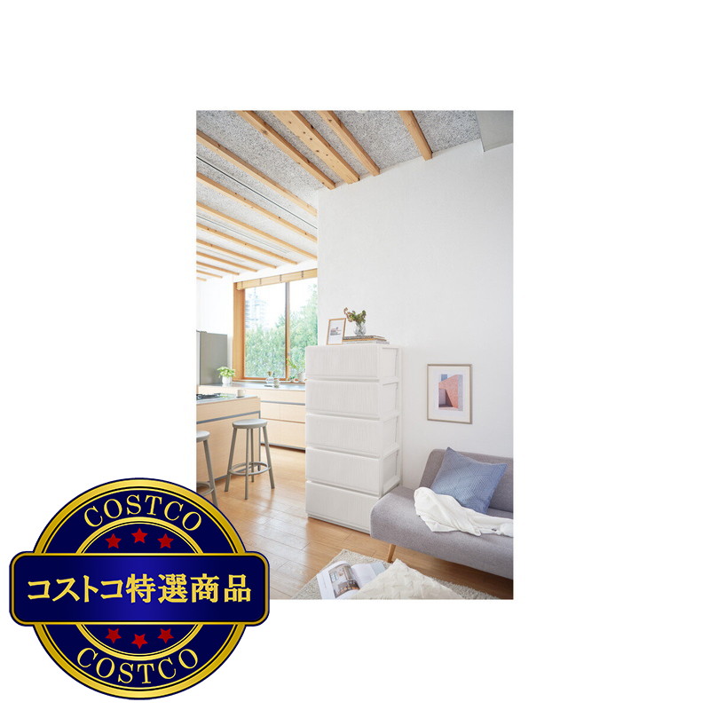 (コストコ) 天馬 プロフィックススタイルケース5段収納 組立式6505深型 - 画像 (3)