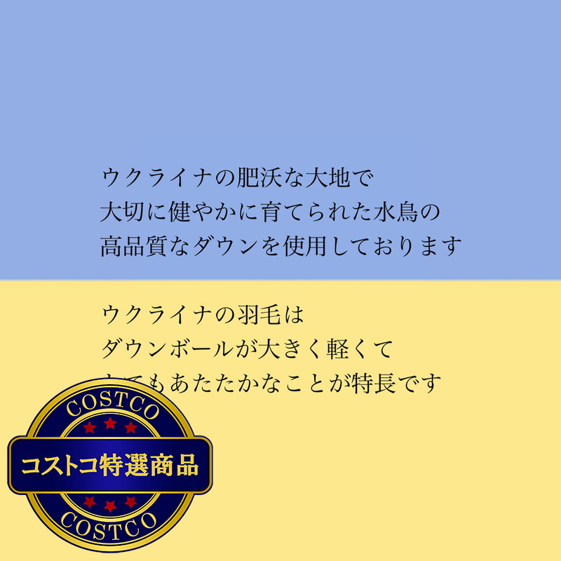羽毛布団 ウクライナ ナチュラルグースダウン 93% シングル - 画像 (4)