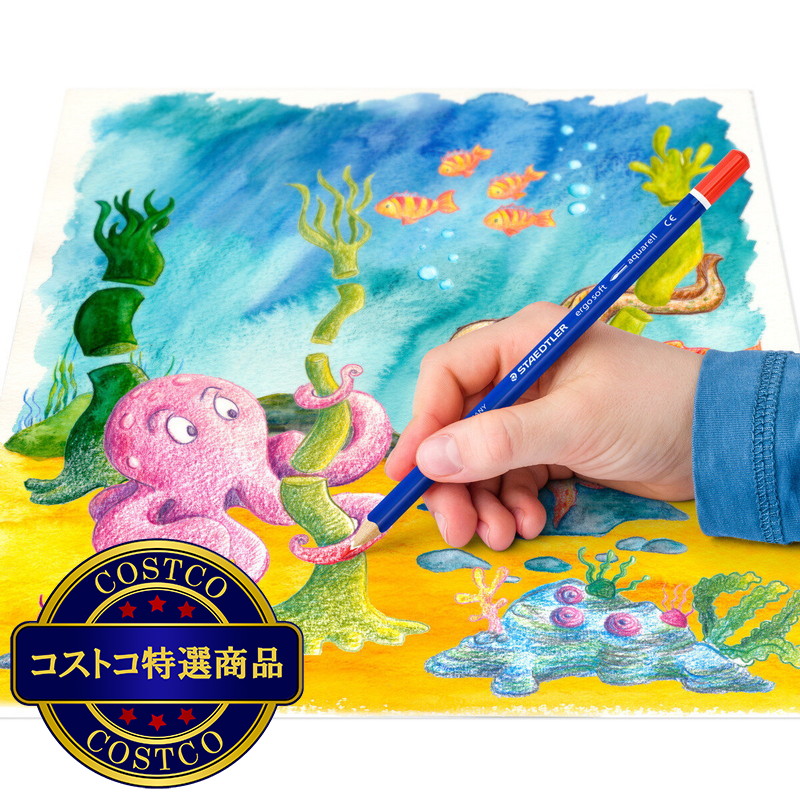 (コストコ) ステッドラー エルゴソフト 水彩色鉛筆24色 - 画像 (3)
