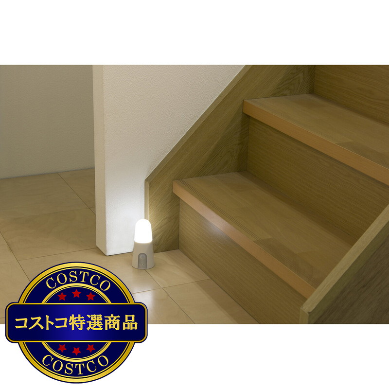 (コストコ) アイリスオーヤマ 乾電池式 LEDセンサーライト スタンドタイプ 昼白色/電球色 - 画像 (3)