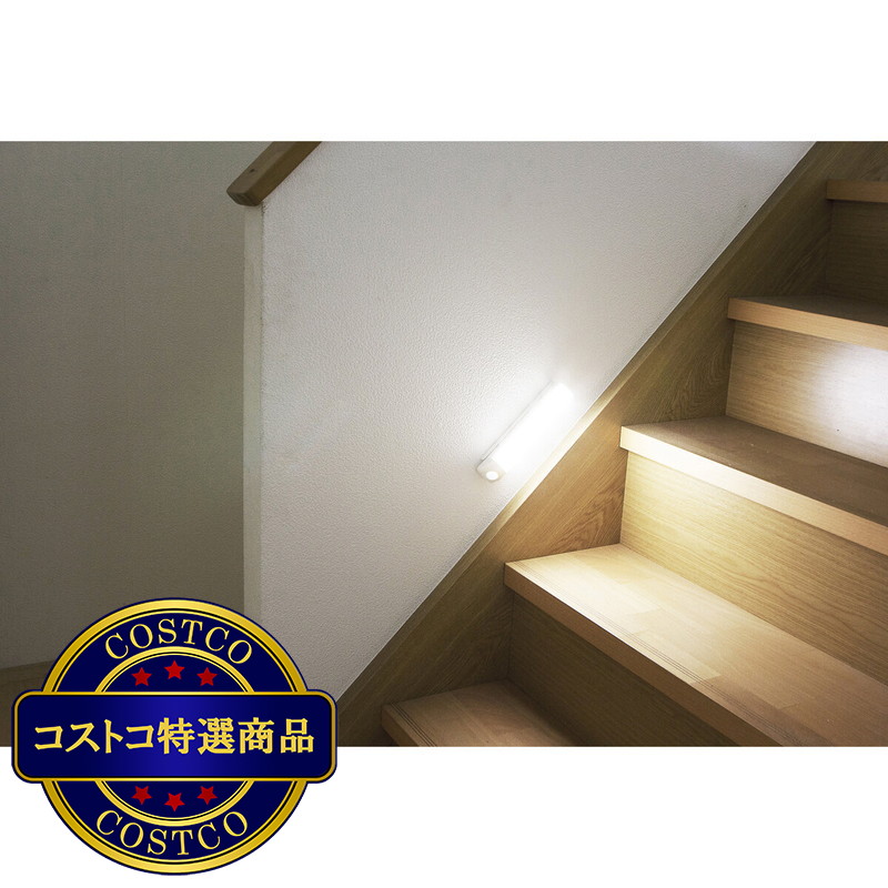 (コストコ) アイリスオーヤマ 乾電池式LEDセンサーライト ウォールタイプ 昼白色/電球色 - 画像 (3)