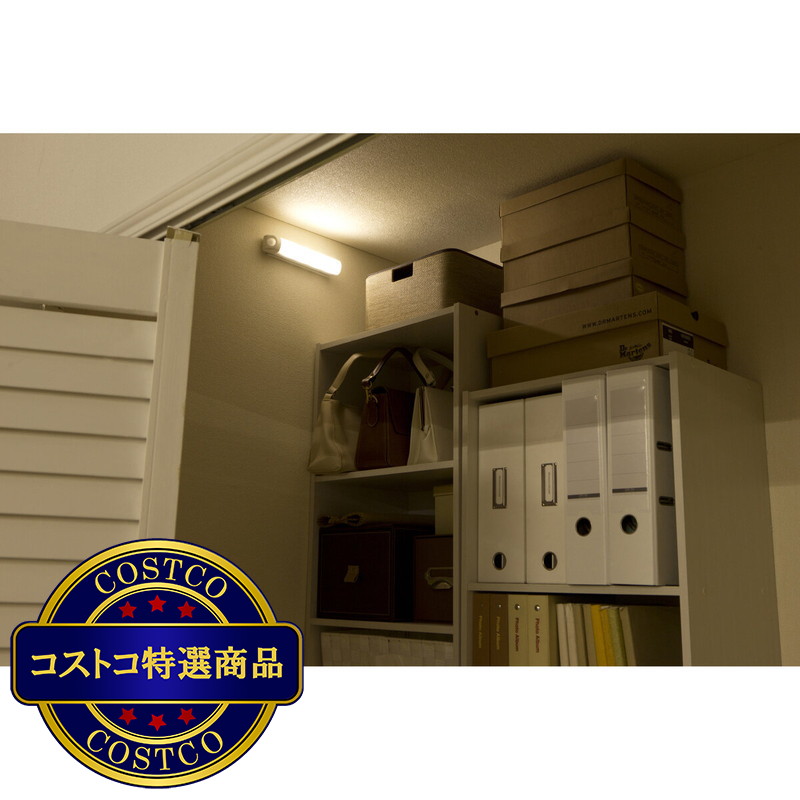 (コストコ) アイリスオーヤマ 乾電池式LEDセンサーライト ウォールタイプ 昼白色/電球色 - 画像 (4)