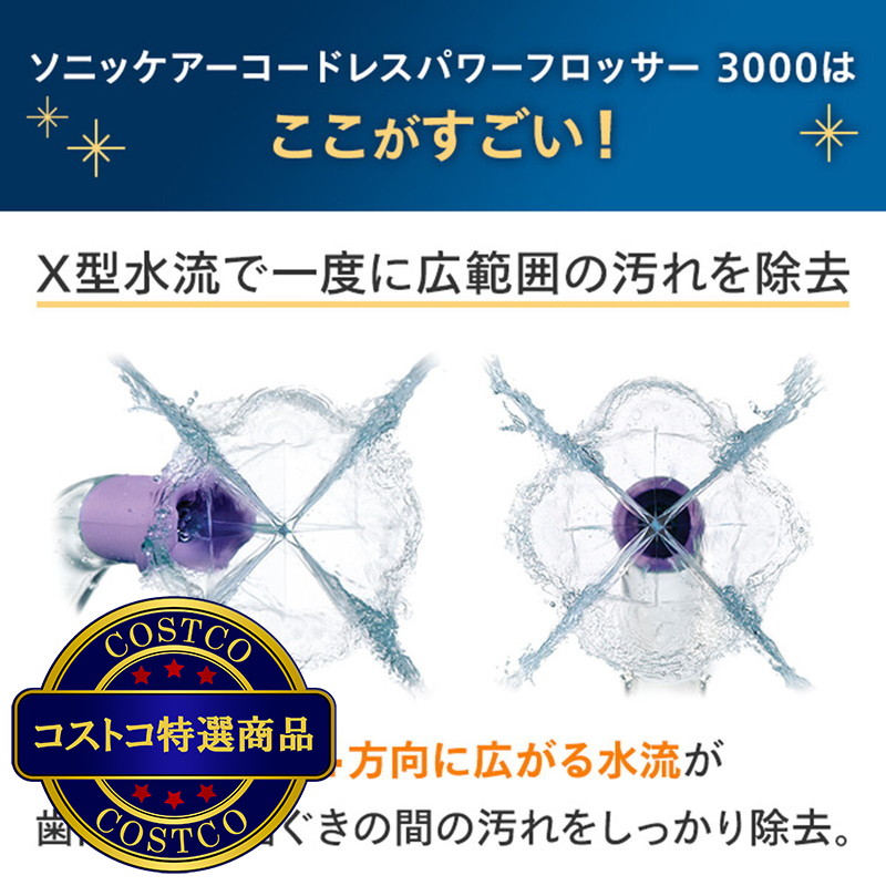 (コストコ) フィリップス コードレスパワーフロッサー3000 HX3806/34 - 画像 (2)