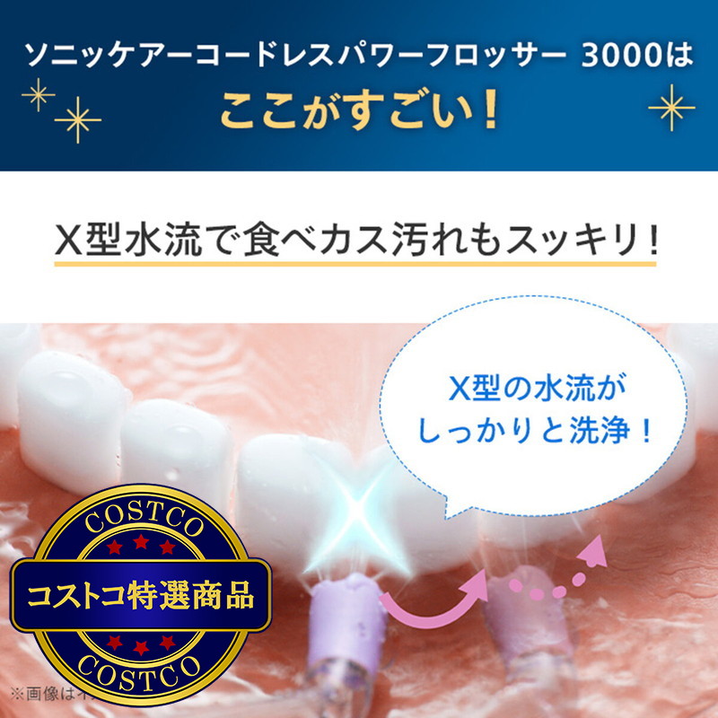 (コストコ) フィリップス コードレスパワーフロッサー3000 HX3806/34 - 画像 (3)