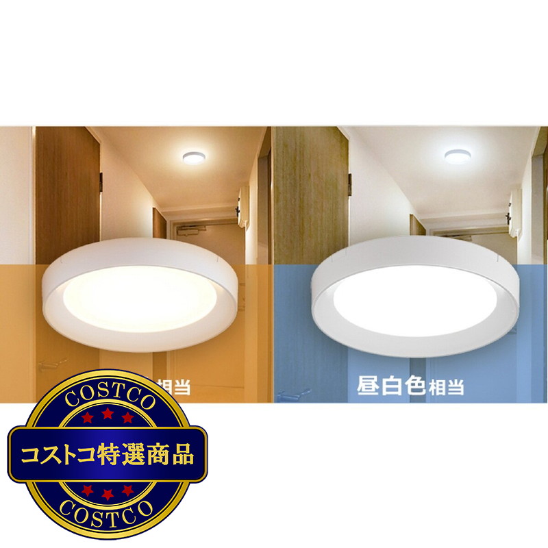 (コストコ) アイリスオーヤマ 小型シーリングライト導光板フレーム 750ルーメン 電球色／昼光色 SCL75L-DU/SCL75D-DU
