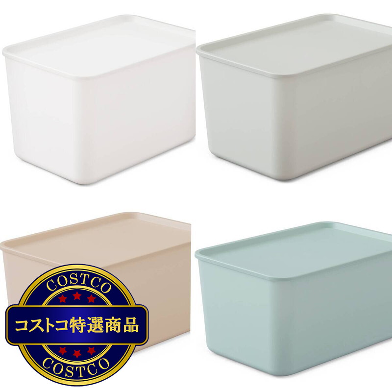 (コストコ) アイリスオーヤマ フタ付き積み重ねボックス 6個セット FTB-45D - 画像 (2)