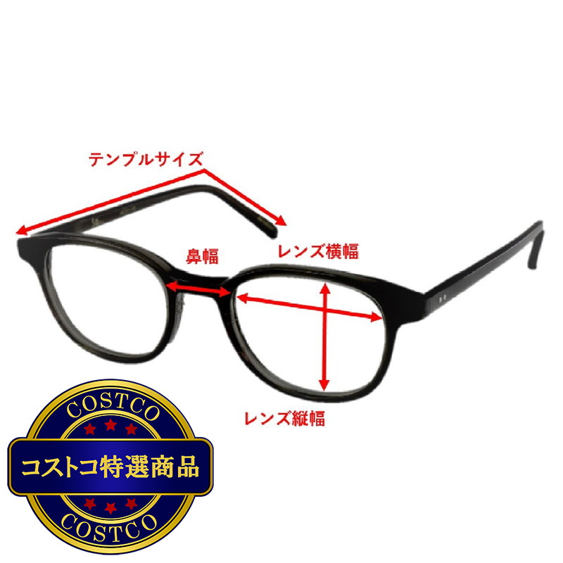 (コストコ) クリアヴェール 花粉防止メガネ CV05CK - 画像 (4)