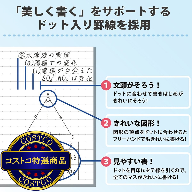 (コストコ) コクヨ キャンパスノート 10冊パック 40ページ ドット入りA罫 B5 - 画像 (4)
