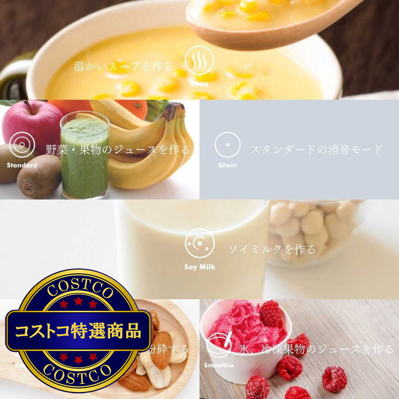 (コストコ) ダネッツ プロフェッショナルブレンダー D103 - 画像 (3)