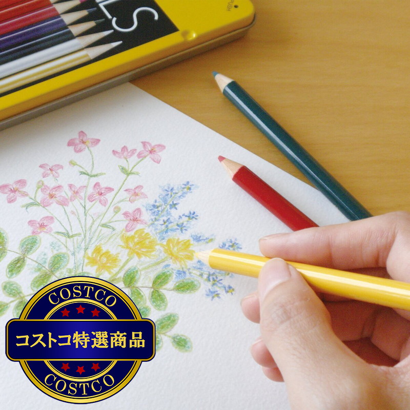 (コストコ) トンボ鉛筆 缶入り色鉛筆 36色セット - 画像 (3)