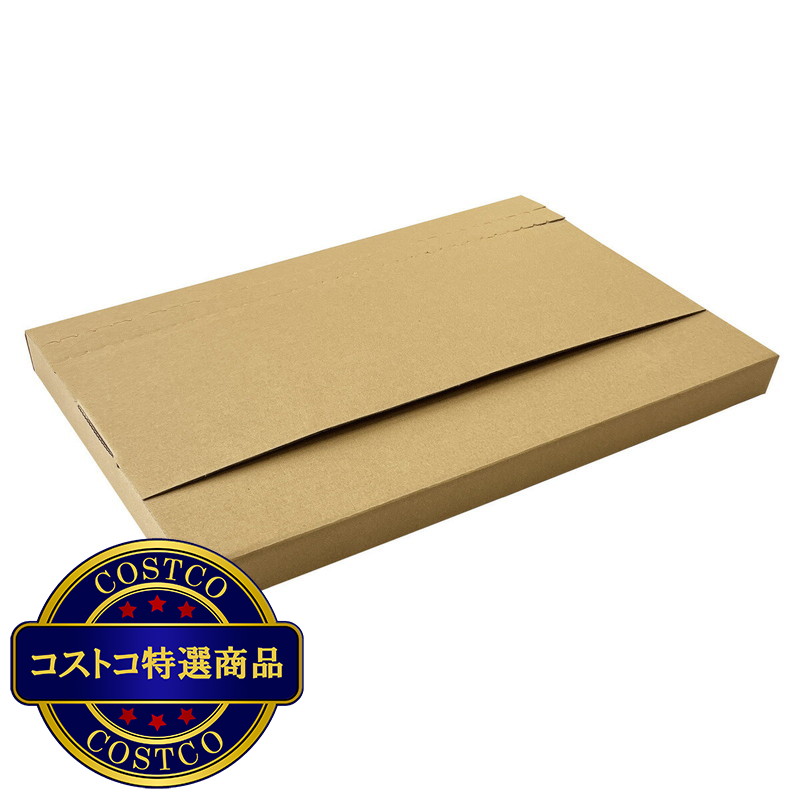 (コストコ) メール便用ケース A4サイズ 30枚