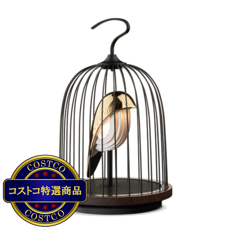 (コストコ) ダキコンセプト ジングー 照明＆Bluetoothスピーカー