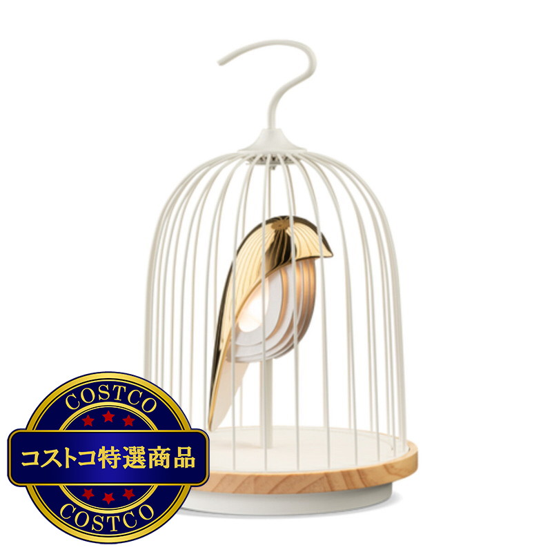 (コストコ) ダキコンセプト ジングー 照明&Bluetoothスピーカー - 画像 (2)