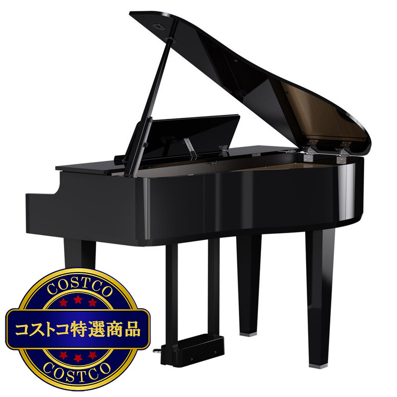 (コストコ) ローランド 電子ミニグランドピアノ GP-6-PES 黒塗鏡面艶出し塗装仕上げ - 画像 (4)