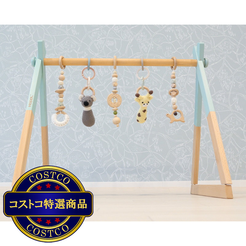 (コストコ) HOPPL ベビージム&Amimals オリジナルセット - 画像 (3)