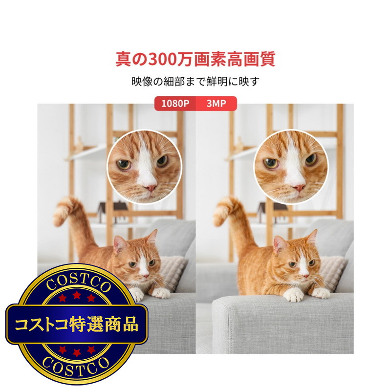 (コストコ) スイッチボット 見守りカメラ 3MP 2個セット W3101100 - 画像 (4)