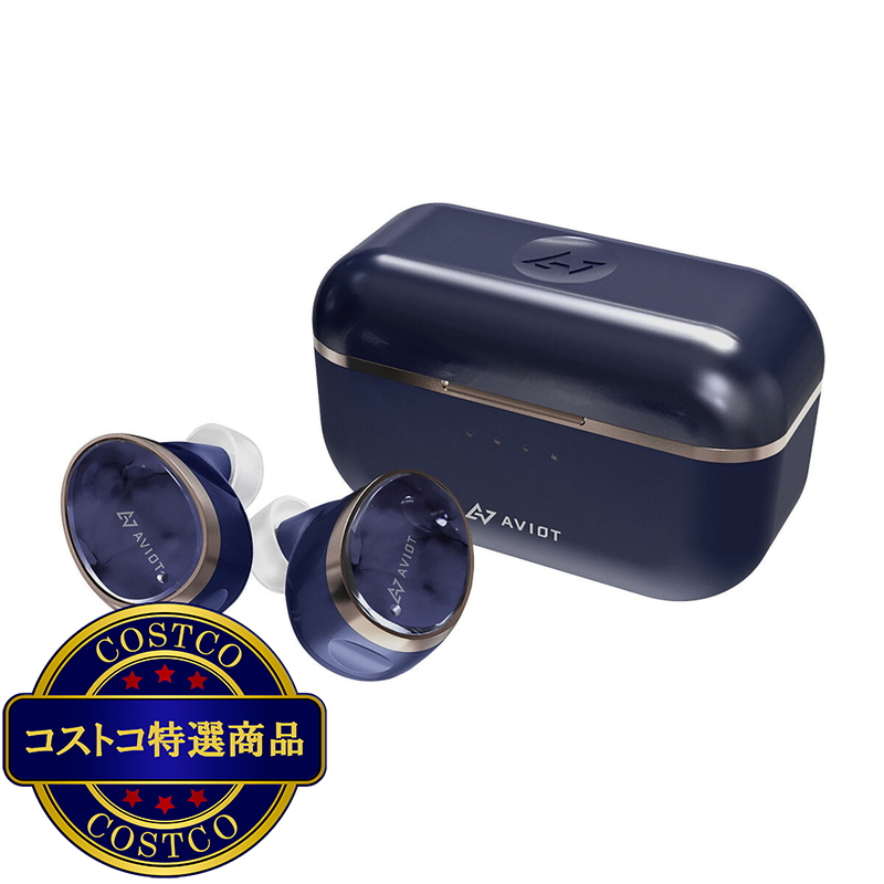 (コストコ) AVIOT 完全ワイヤレスイヤホン TE-BD11tR ドーンブルー
