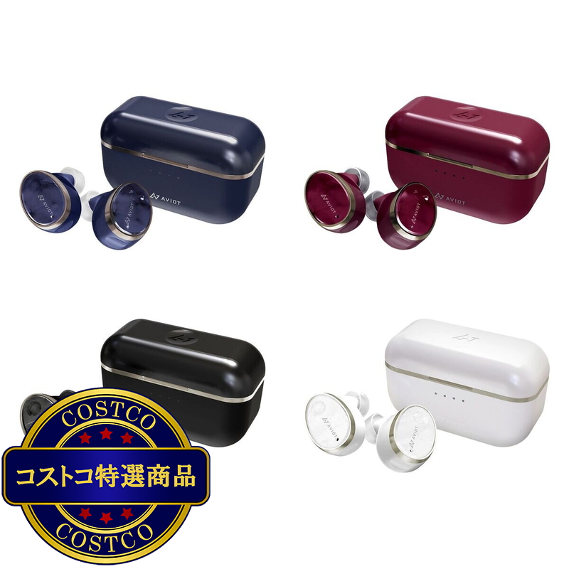 AVIOT 完全ワイヤレスイヤホン TE-BD11tR