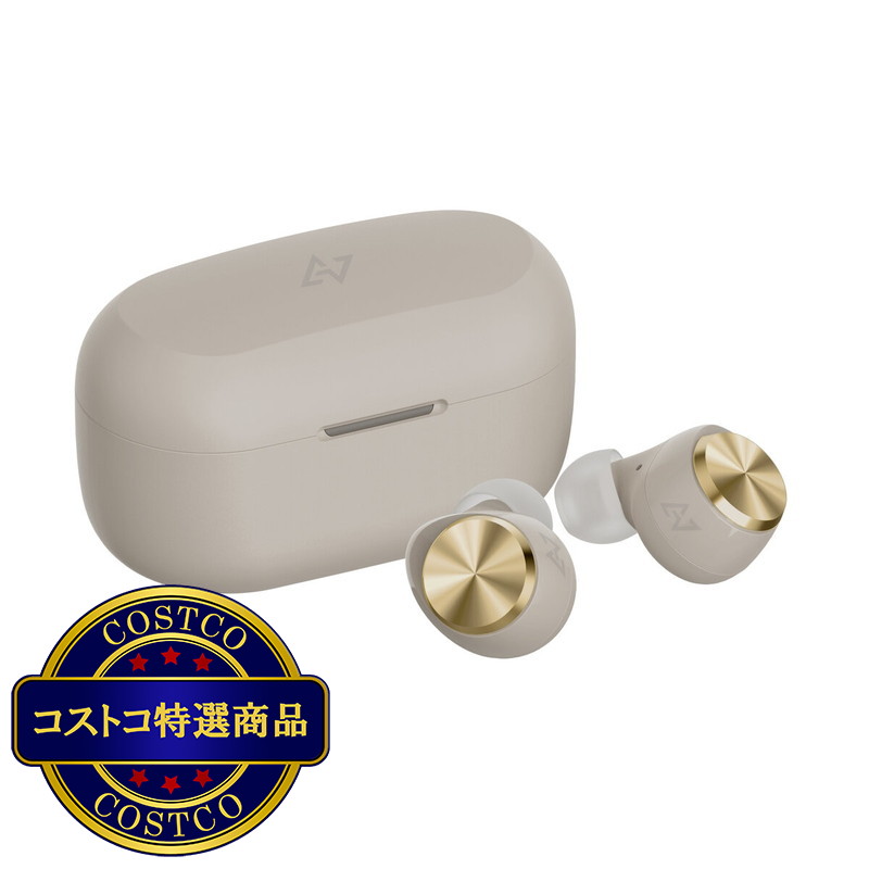 (コストコ) AVIOT 完全ワイヤレスイヤホン TE-D01V-GY       EC