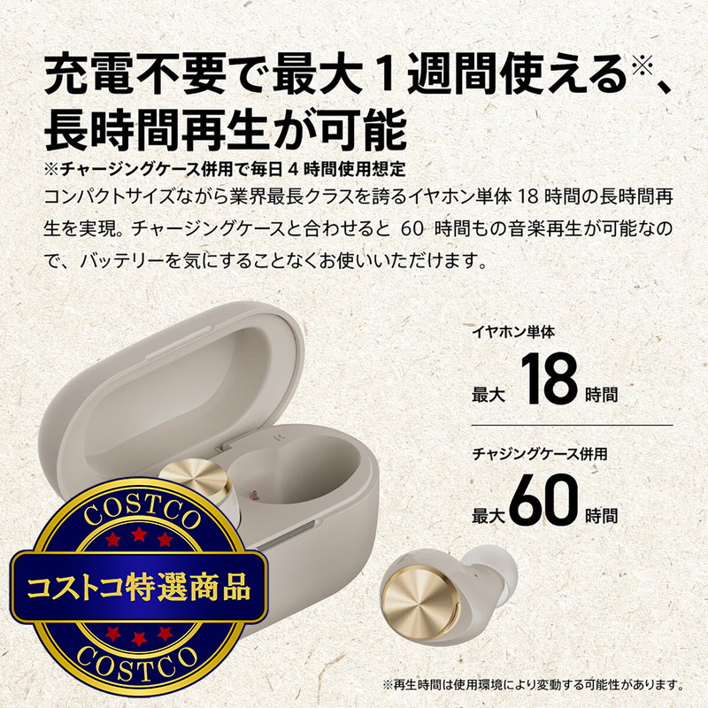 (コストコ) AVIOT 完全ワイヤレスイヤホン TE-D01V-GY EC - 画像 (3)