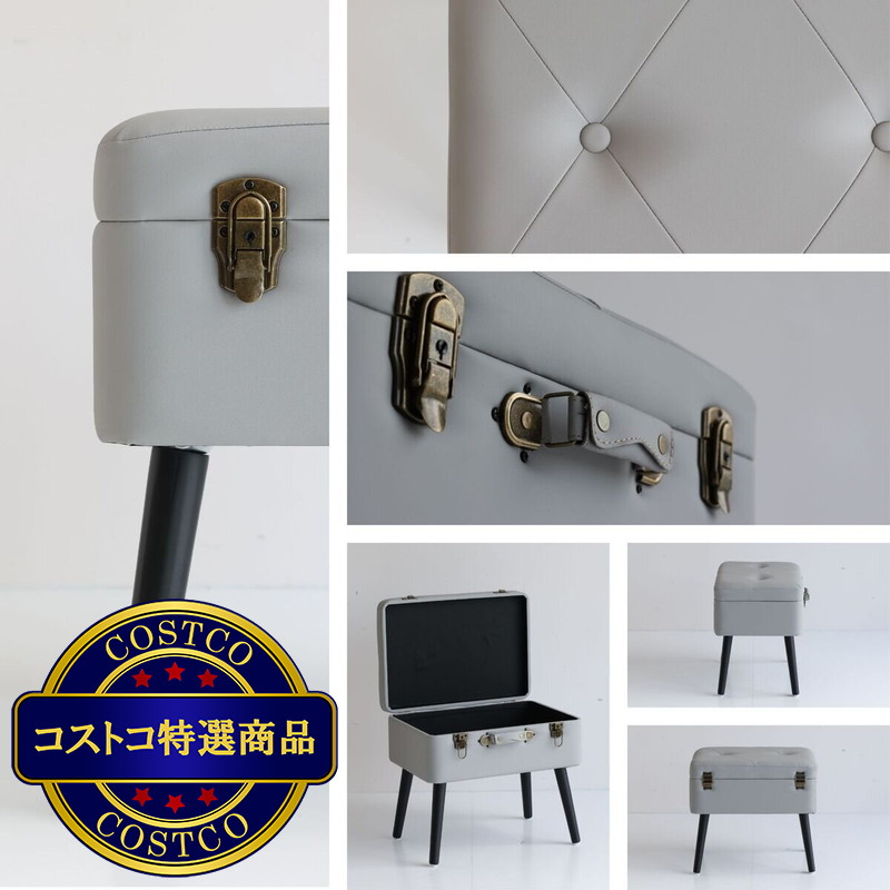 (コストコ) トランク型ピックスツール - 画像 (4)