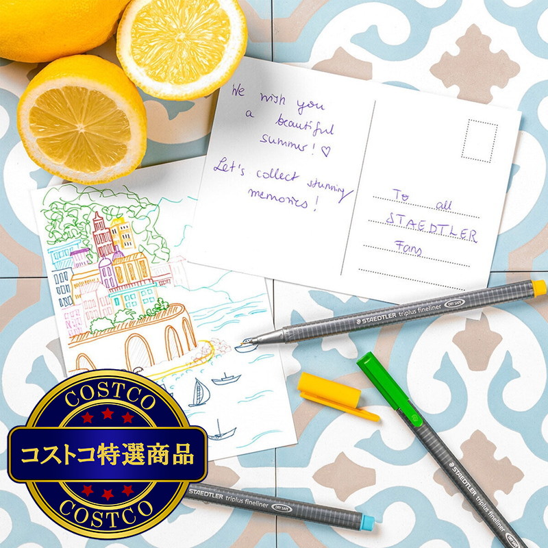 (コストコ) ステッドラー トリプラスファインカラー 細書きペン 30色 - 画像 (3)