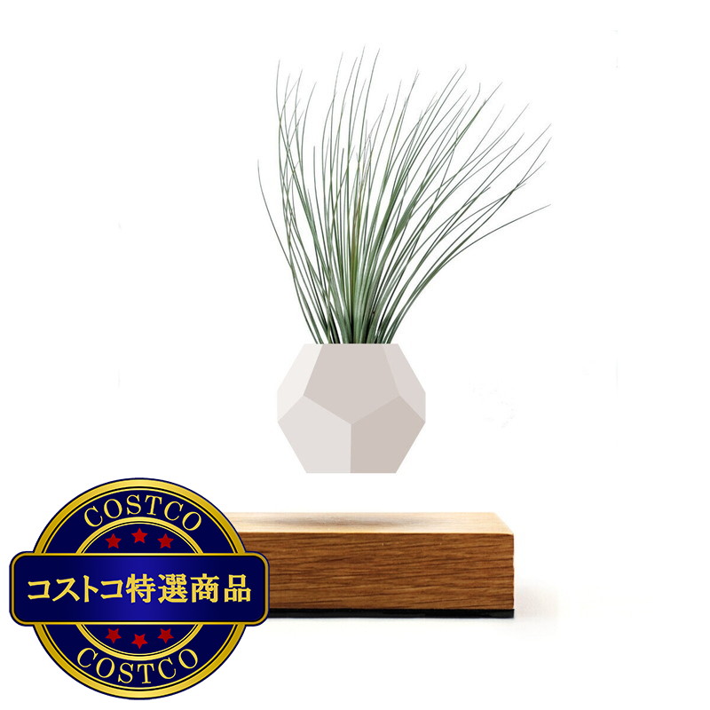 (コストコ) Flyte Lyfe (ライフ) 宙に浮くプランター