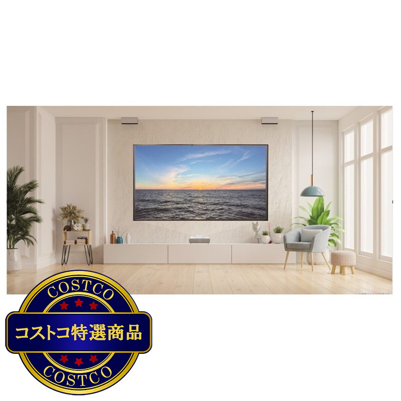 (コストコ) キクチ パネル型 100インチ プロジェクタースクリーン SPB-100HDUT - 画像 (2)