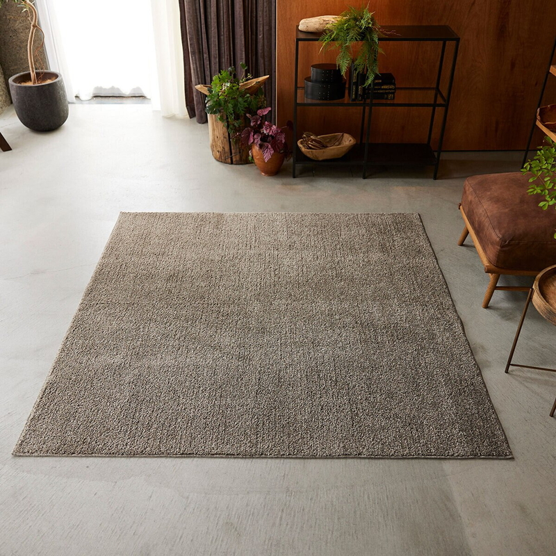 (コストコ) スミノエ ウォッシャブルラグ ソル 190 x 240cm ブラウン