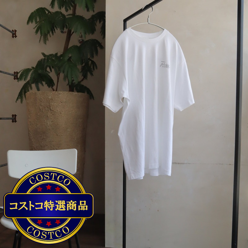 (コストコ) チャナカンパニー Balmy Hanger(バルミーハンガー) 「MOTTEアーチ」 12本セット TP-ECA02-40SLV-6ST - 画像 (3)