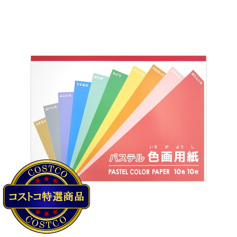 (コストコ) 色画用紙セミB4 パステル 10枚 x 10冊 253×352ｍｍ