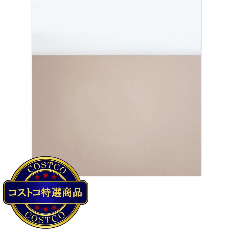 (コストコ) 色画用紙セミB4 くすみカラー 10枚 x 10冊 253×352mm - 画像 (2)