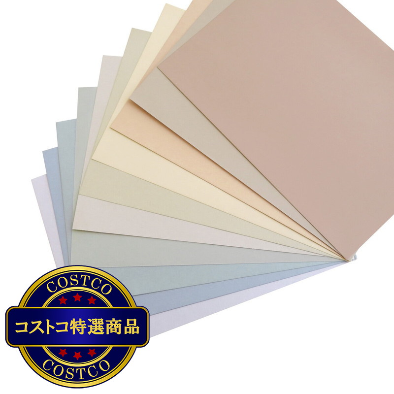 (コストコ) 色画用紙セミB4 くすみカラー 10枚 x 10冊 253×352mm - 画像 (3)