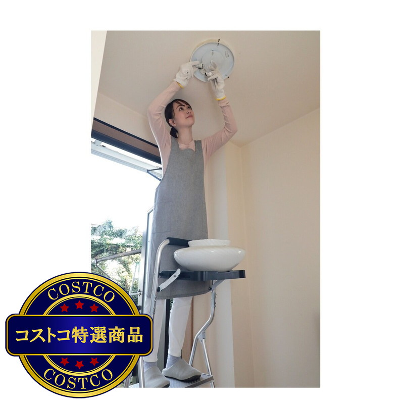 (コストコ) 谷村実業 アルミ製トレー付き5段脚立 TAN-3010-5 - 画像 (3)