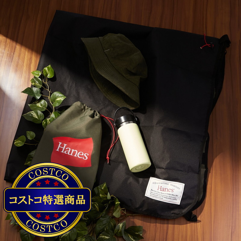 (コストコ) ヘインズ レジャーシート