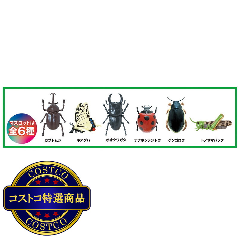 (コストコ) バスボール 6個セット 学研図鑑LIVE - 画像 (3)