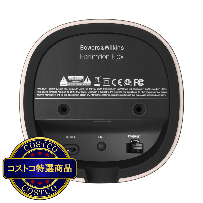 (コストコ) バウワースアンドウィルキンス ワイヤレススピーカー フォーメーション フレックス - 画像 (3)