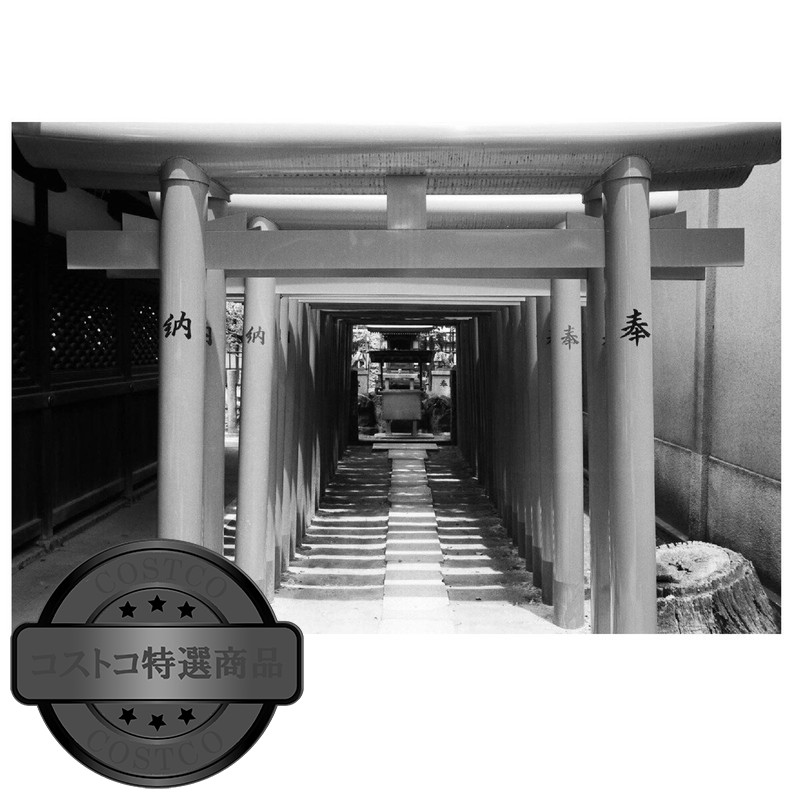 (コストコ) マリックス 35mm 白黒ネガフィルム ISO400 36枚撮 20本セット - 画像 (3)