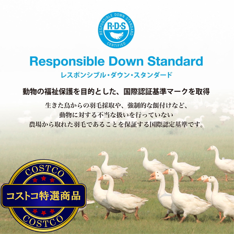 羽毛合い掛け布団 ナチュラルグースダウン95% クイーン - 画像 (4)