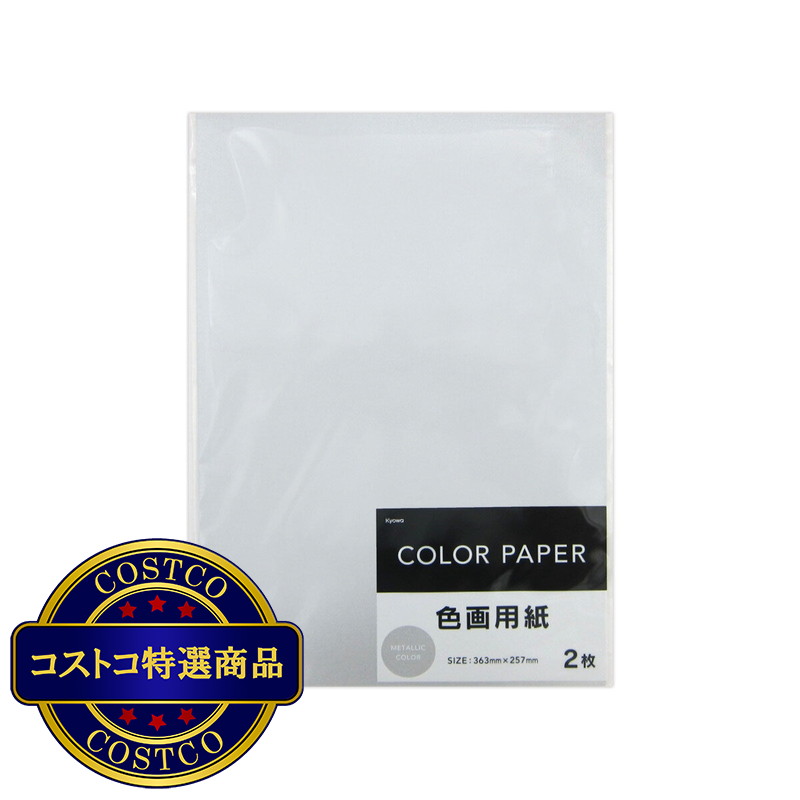 (コストコ) 色画用紙 銀 2枚 x 10セット