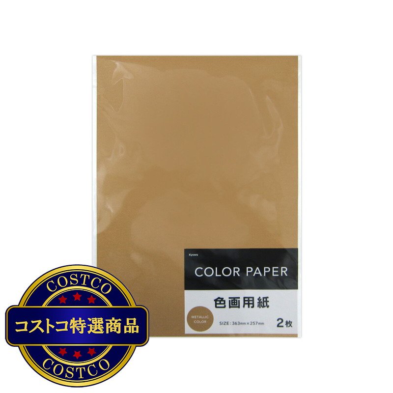 (コストコ) 色画用紙 銅 2枚 x 10セット