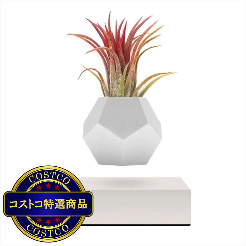 (コストコ) Flyte Lyfe (ライフ) 宙に浮くプランター 白