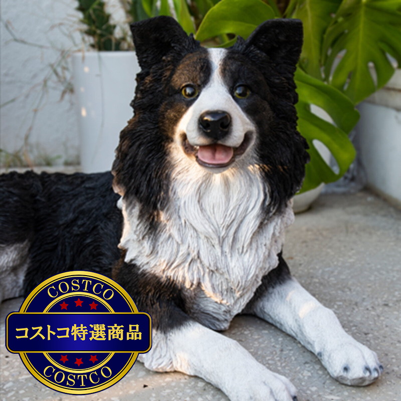 (コストコ) ウービア うつぶせボーダーコリーの置物 H21032 - 画像 (3)